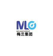 梅兰集团